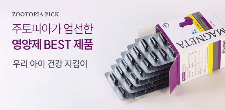 주토피아프레시 배너