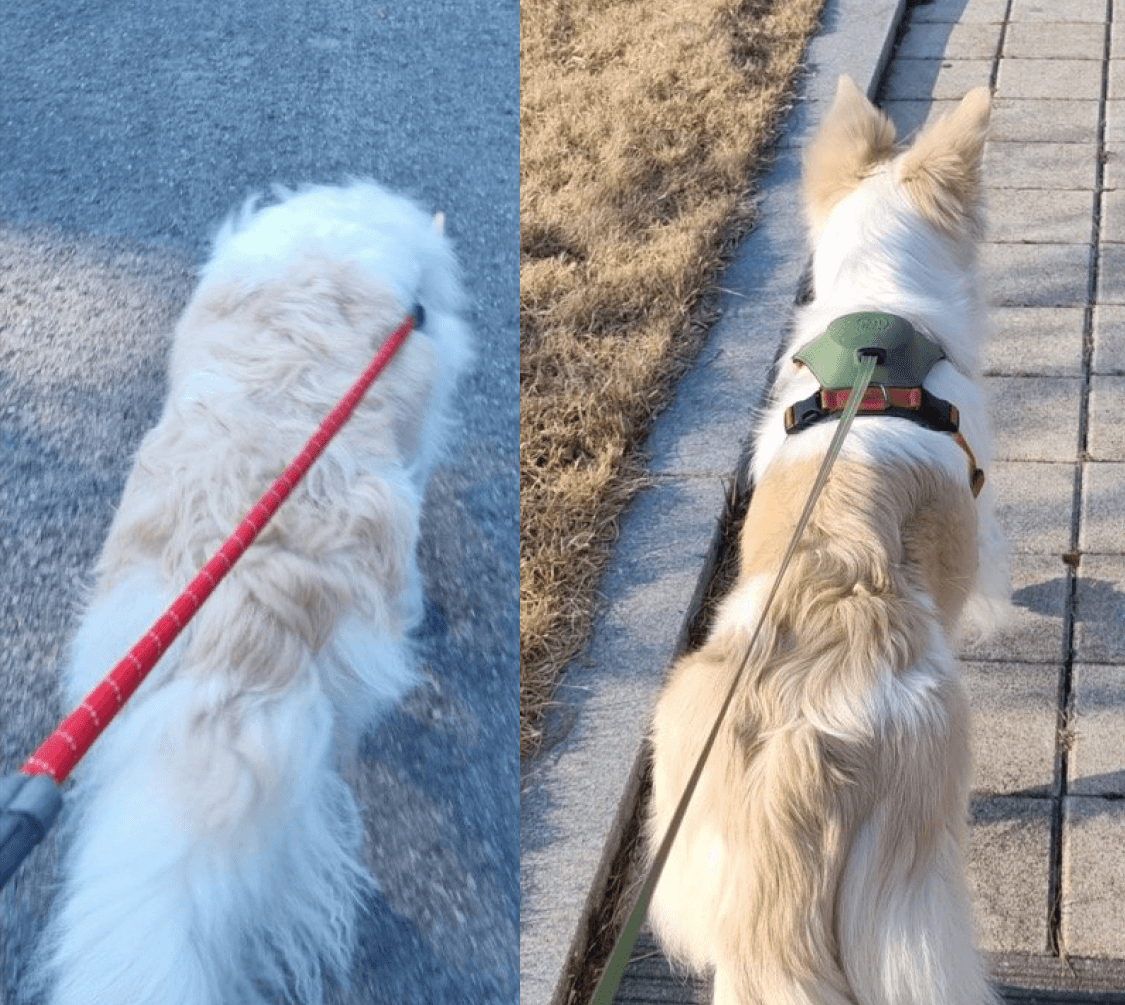 인터뷰 썸네일 - 12