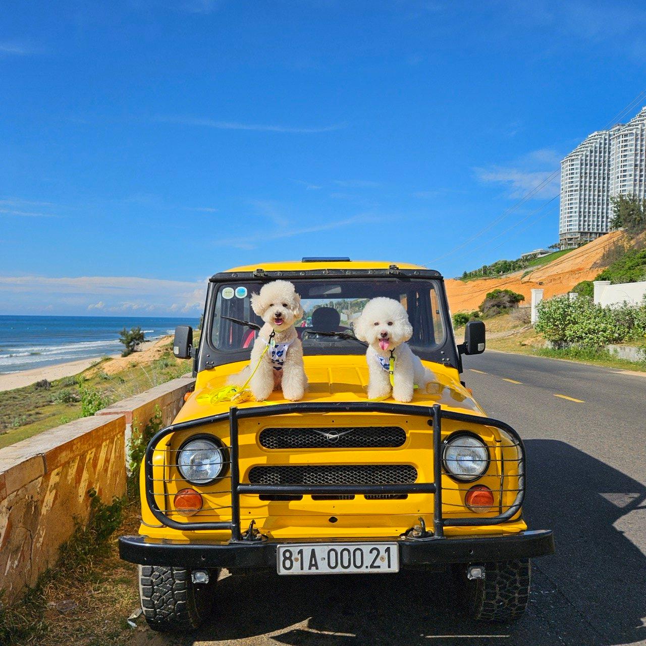 인터뷰 썸네일 - 11