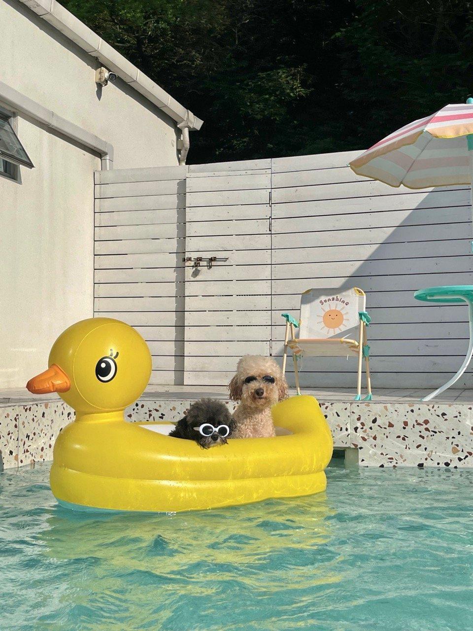 인터뷰 썸네일 - 2