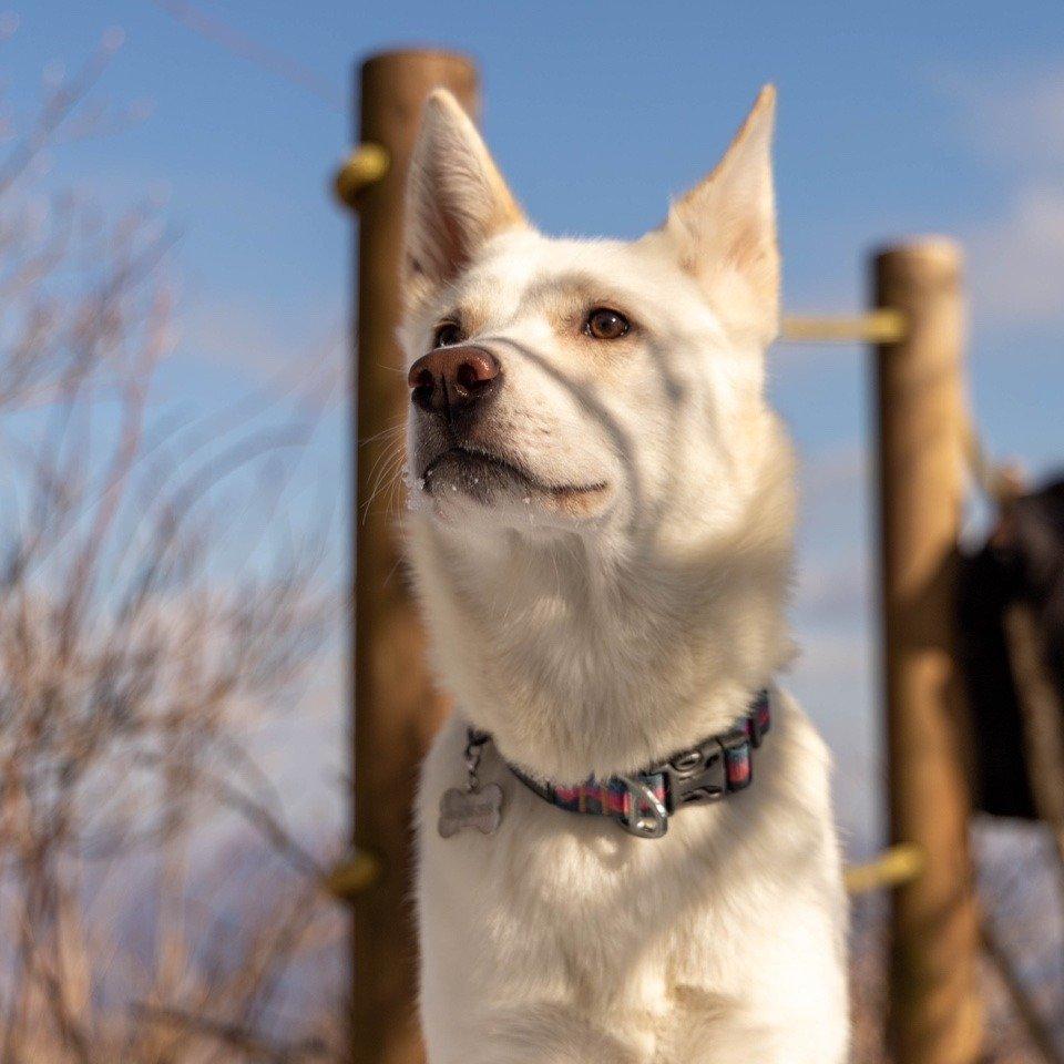 인터뷰 썸네일 - 7