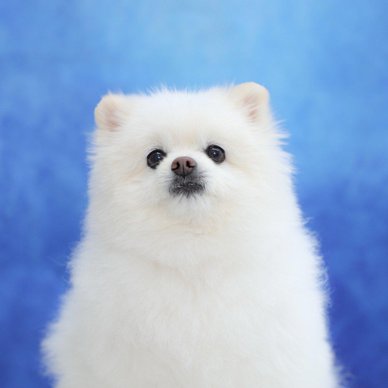 인터뷰 썸네일 - 8