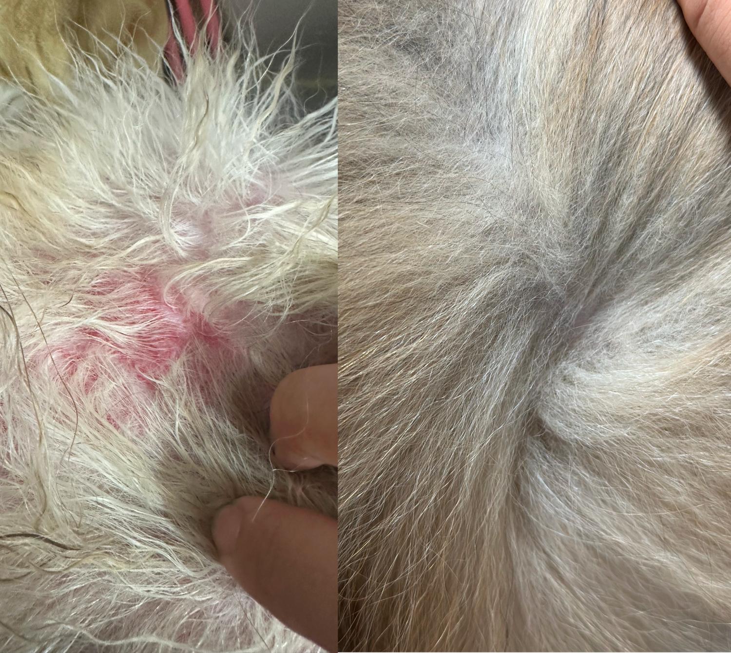 인터뷰 썸네일 - 23