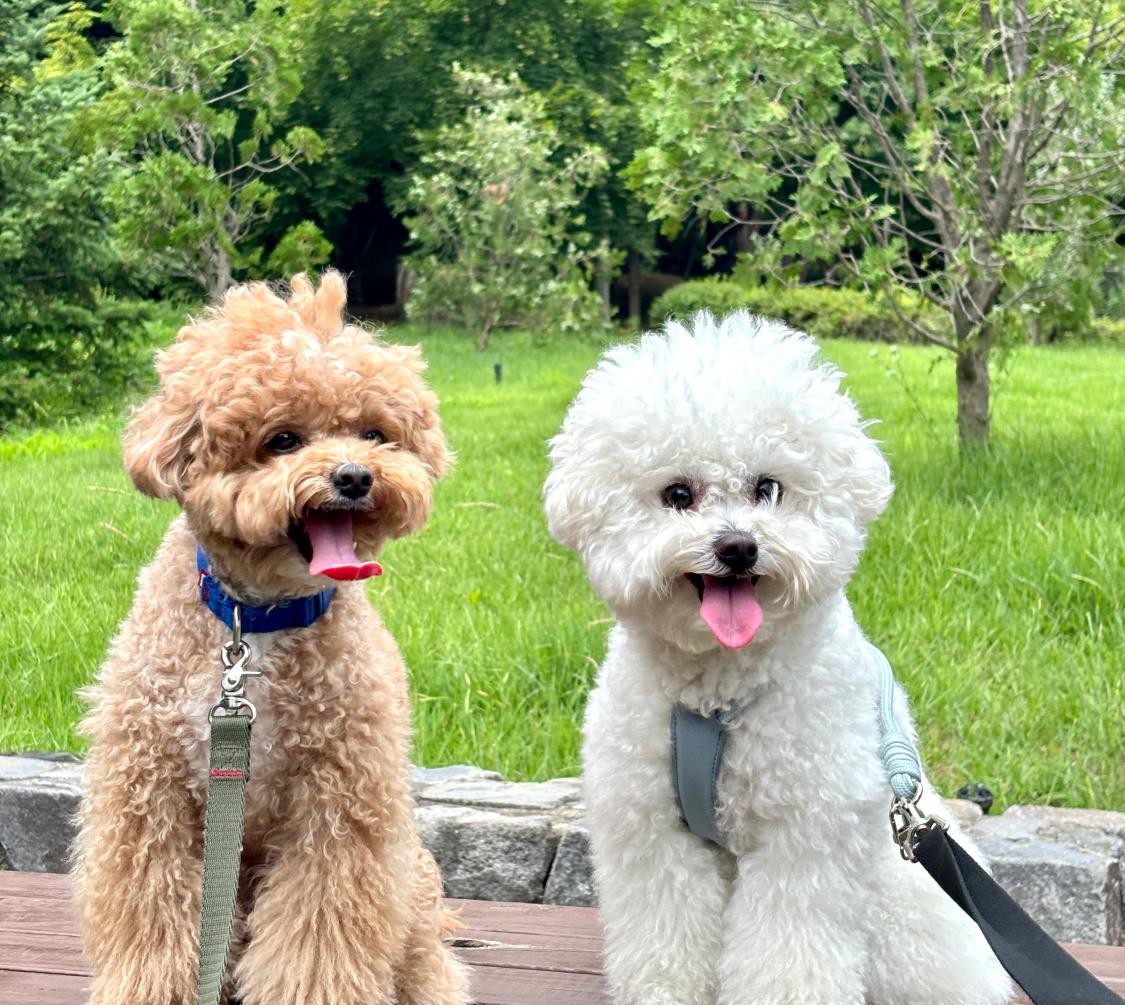 인터뷰 썸네일 - 26